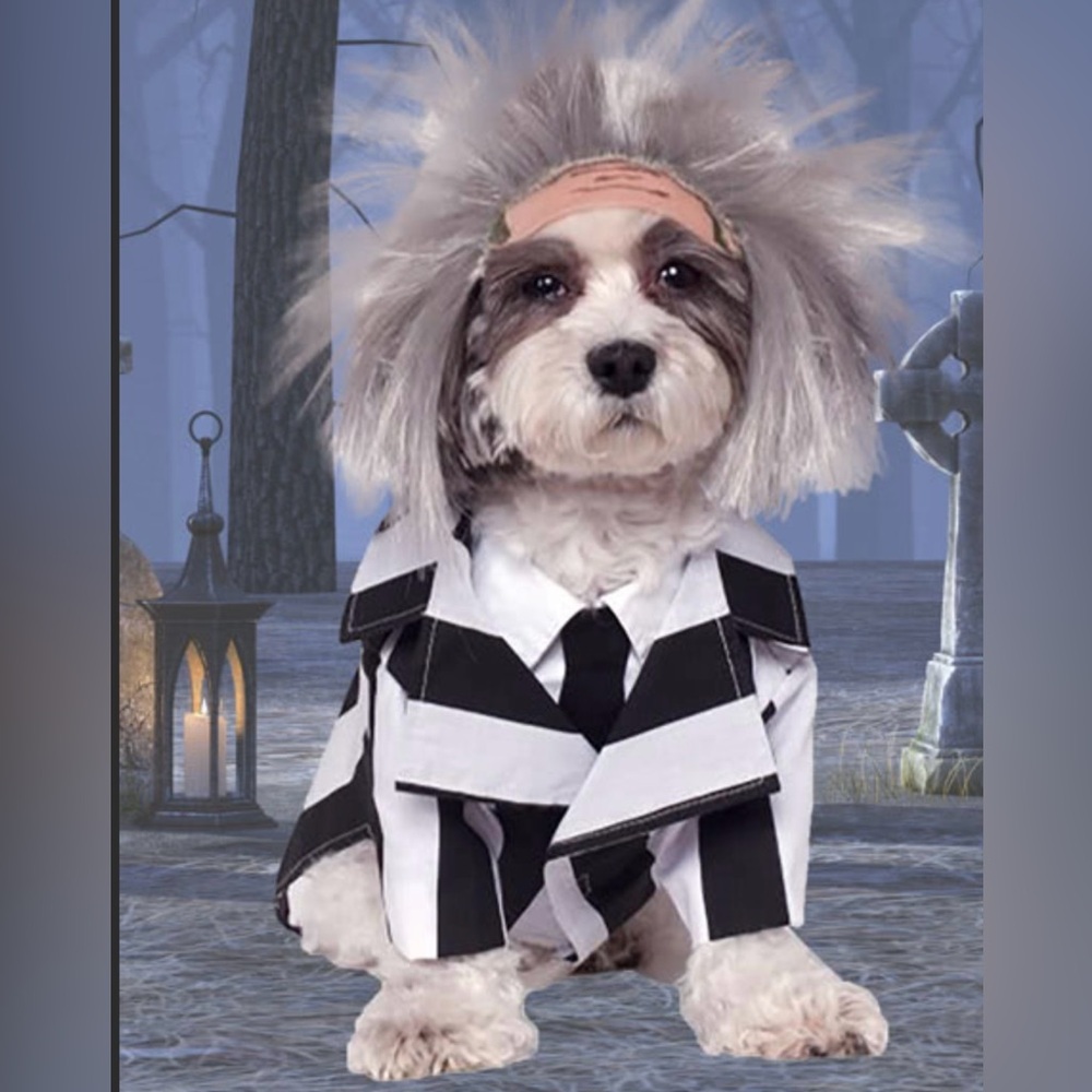 Beetlejuice dog Halloween costume NEW